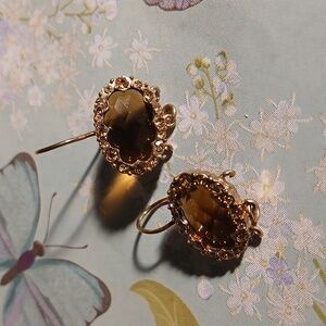 Elegant Gold and Brown Earrings